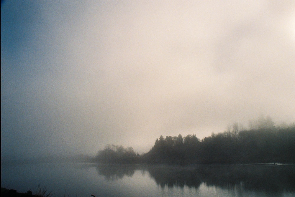 a body of water surrounded by trees on a foggy day