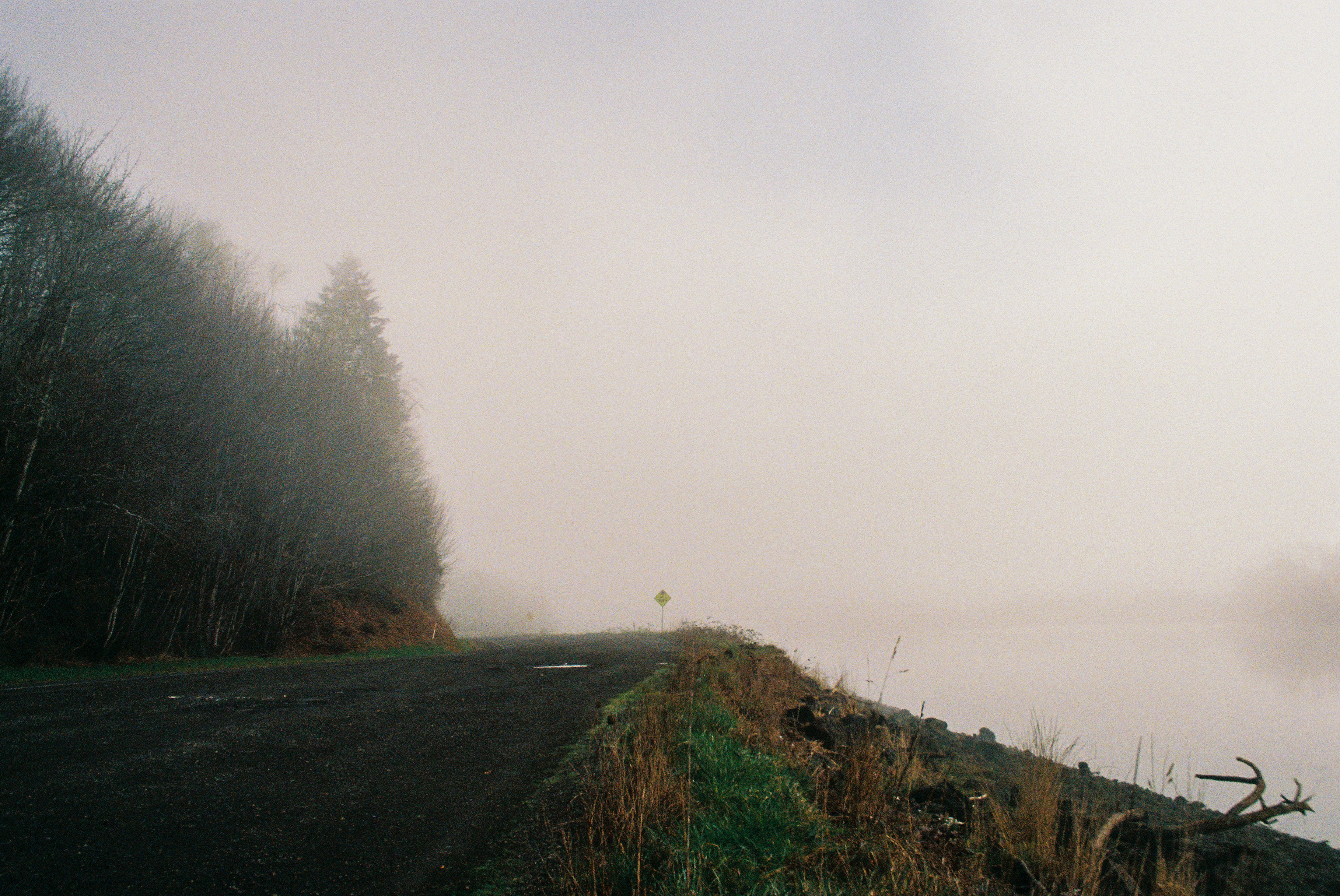 a foggy road next to a body of water
