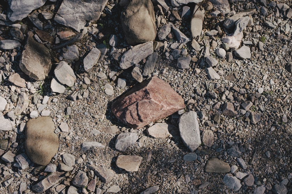 a red and white fire hydrant sitting on top of a pile of rocks