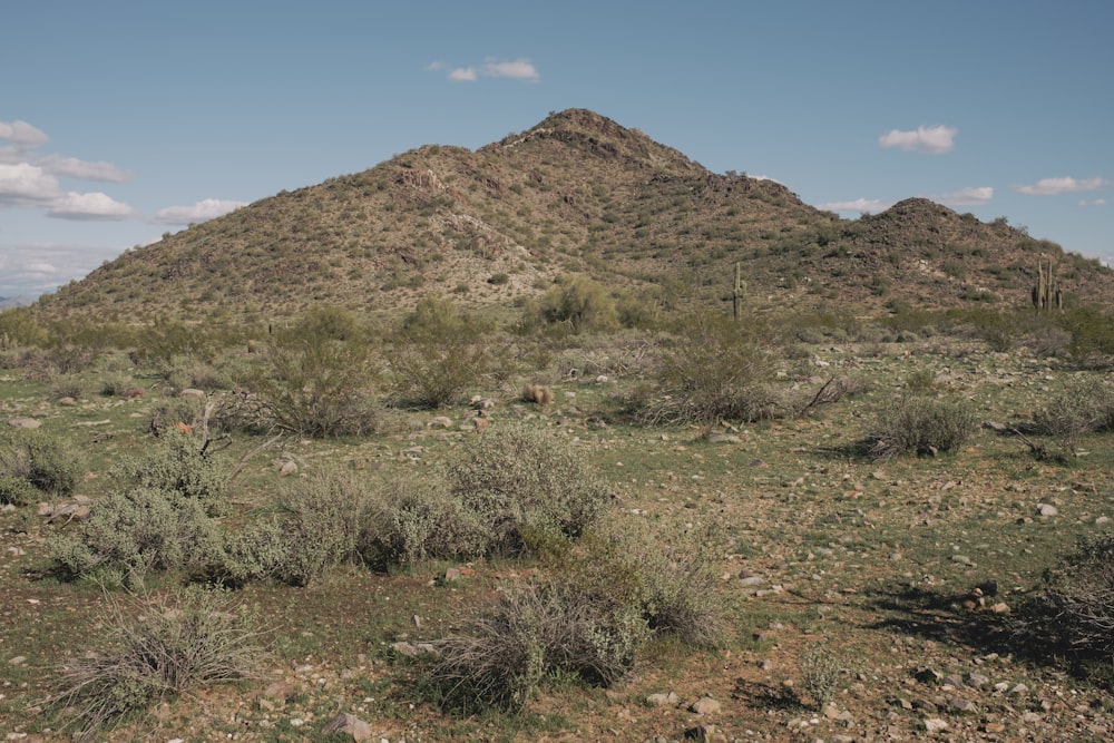 a mountain with a small patch of vegetation in the foreground