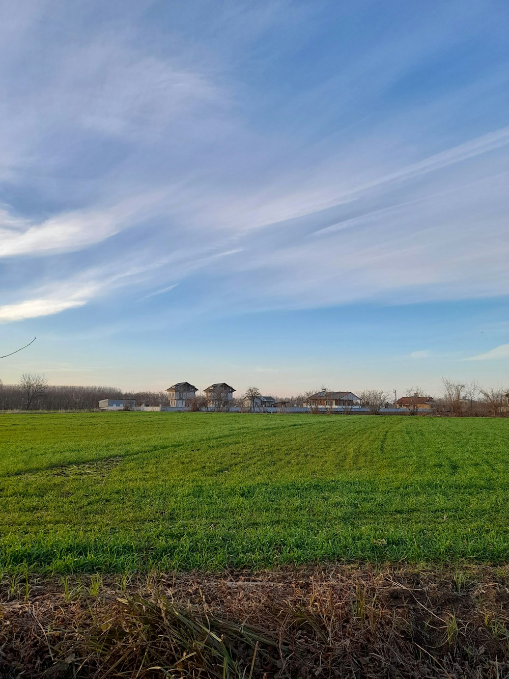 a green field with houses in the distance