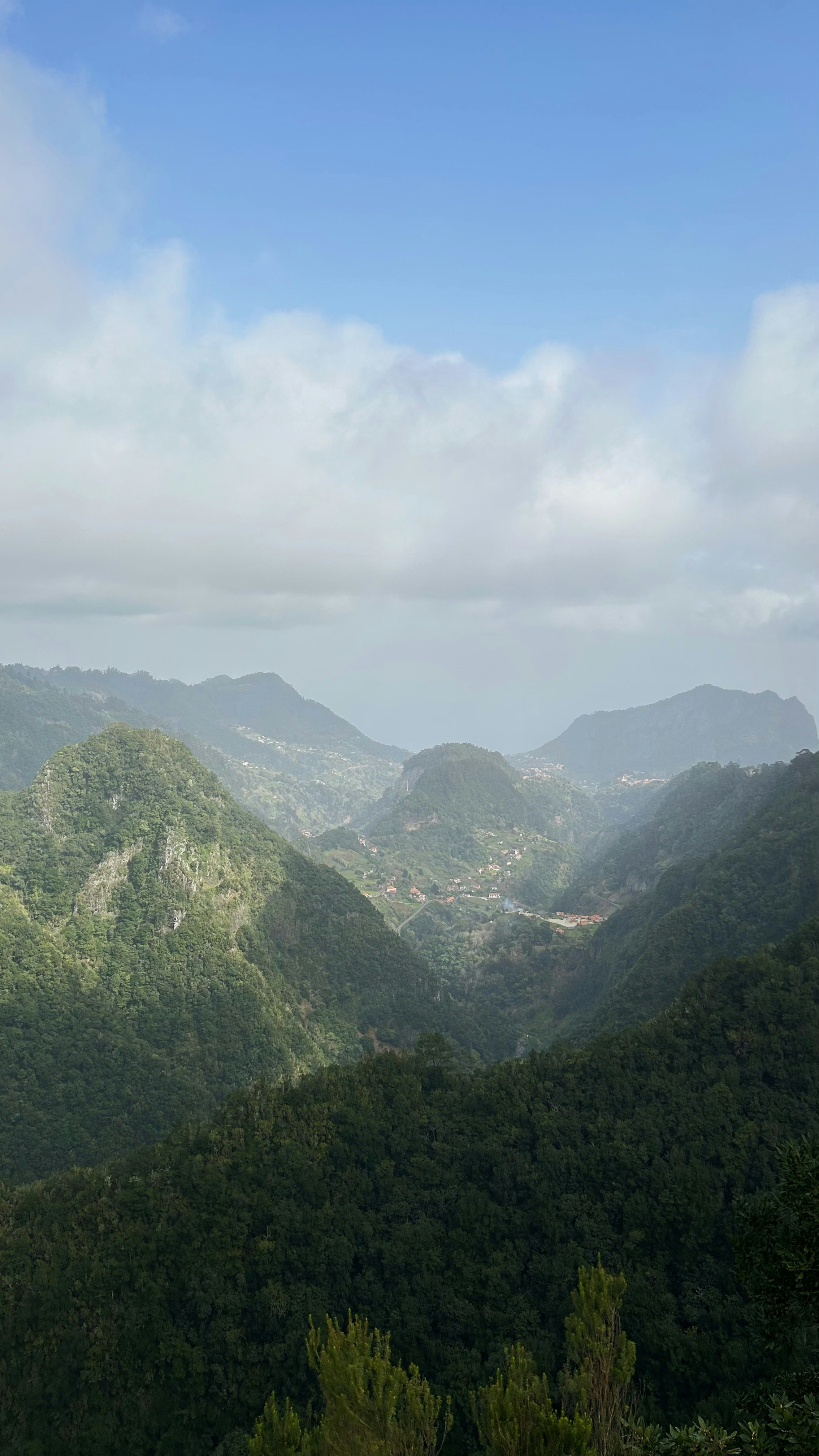 Photo by dianafrancisca020