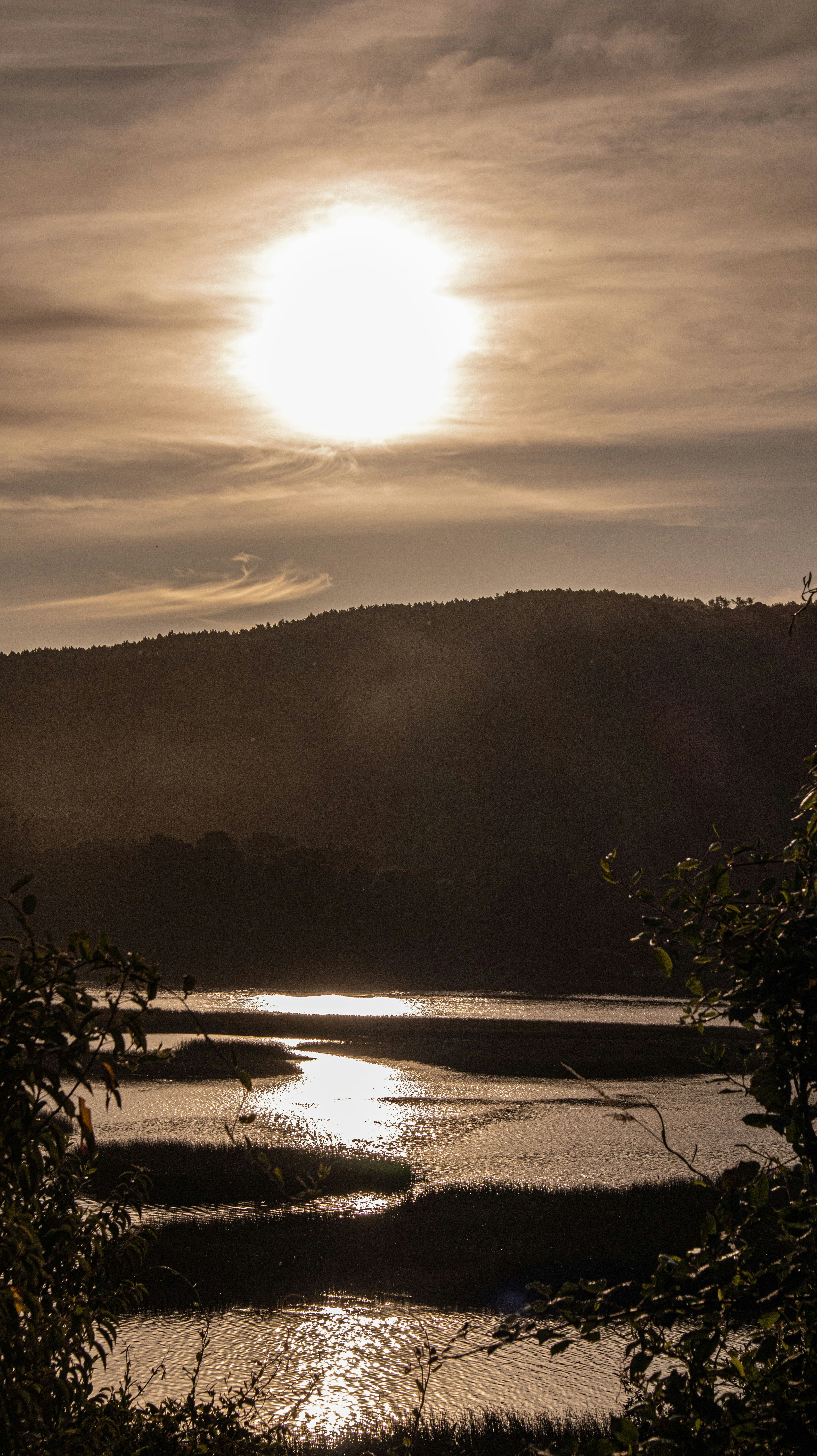 Dipinto: Alba dorata