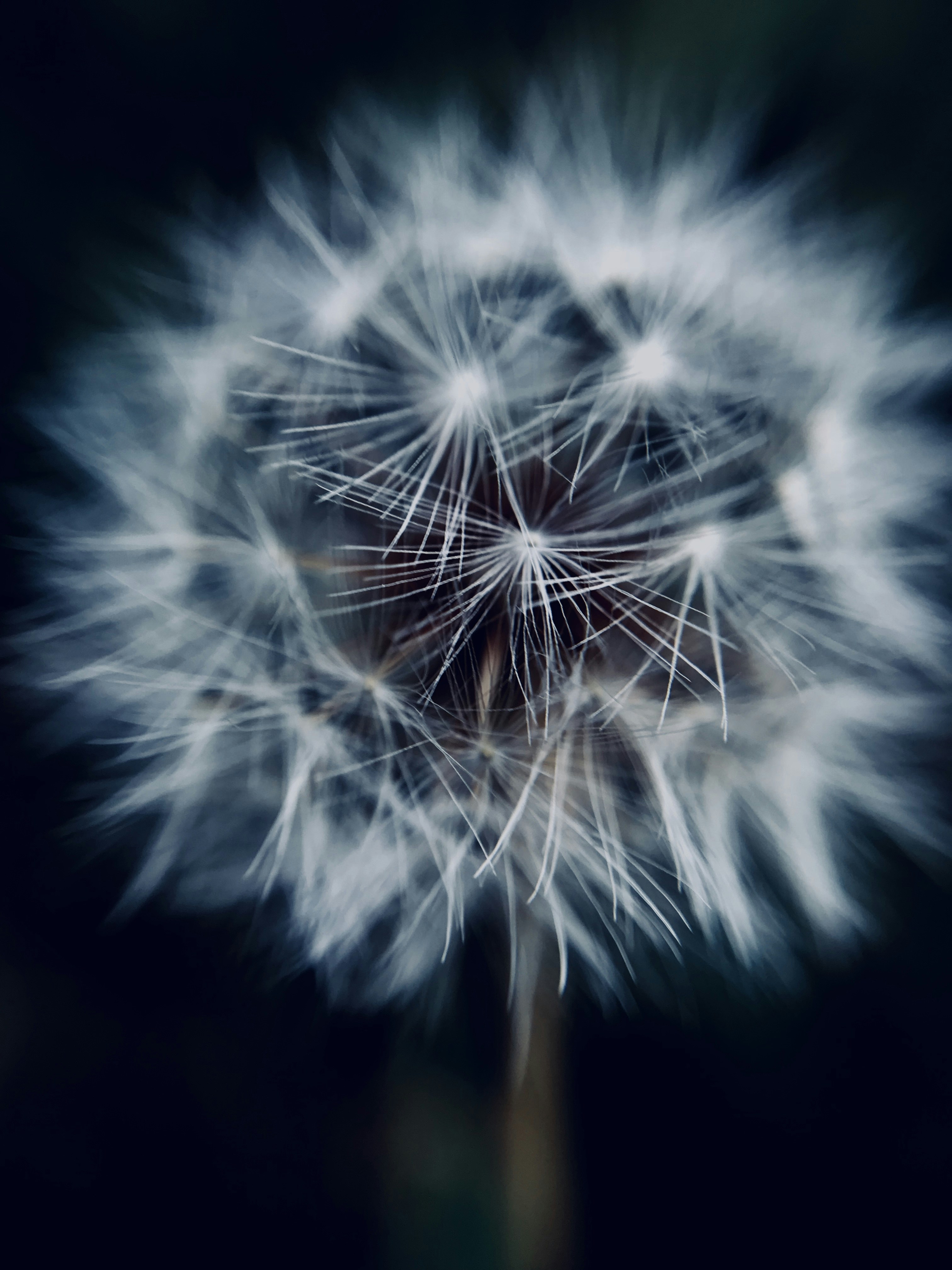 Photo by downtownalien