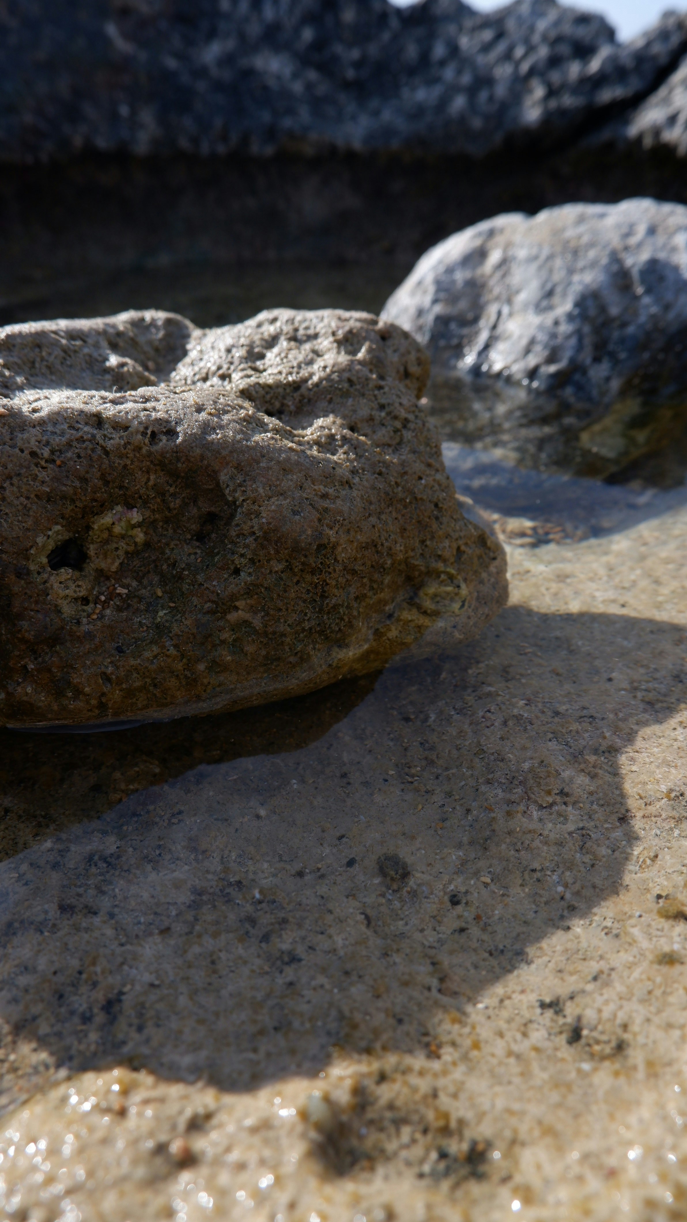 Photo by natalyaanri