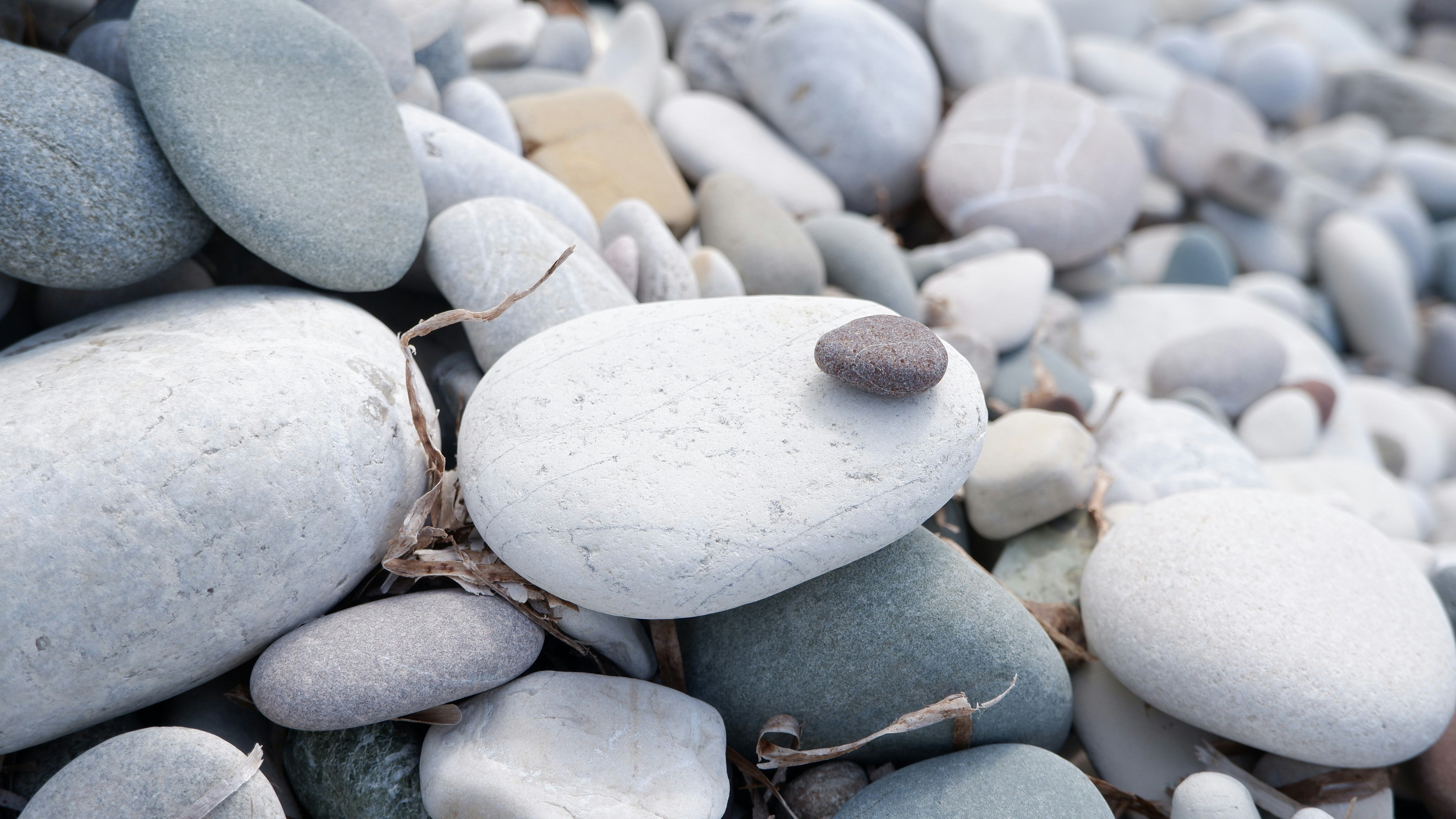 Photo by natalyaanri