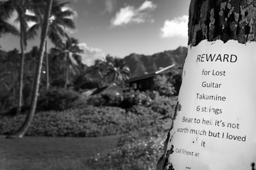 A black and white image depicting a reward poster attached to a tree trunk. The poster offers a reward for a lost Takamine guitar, describing it as 'beat to hell' but loved by the owner. In the background, there is a scenic view with palm trees, a building, and mountains under a partly cloudy sky.