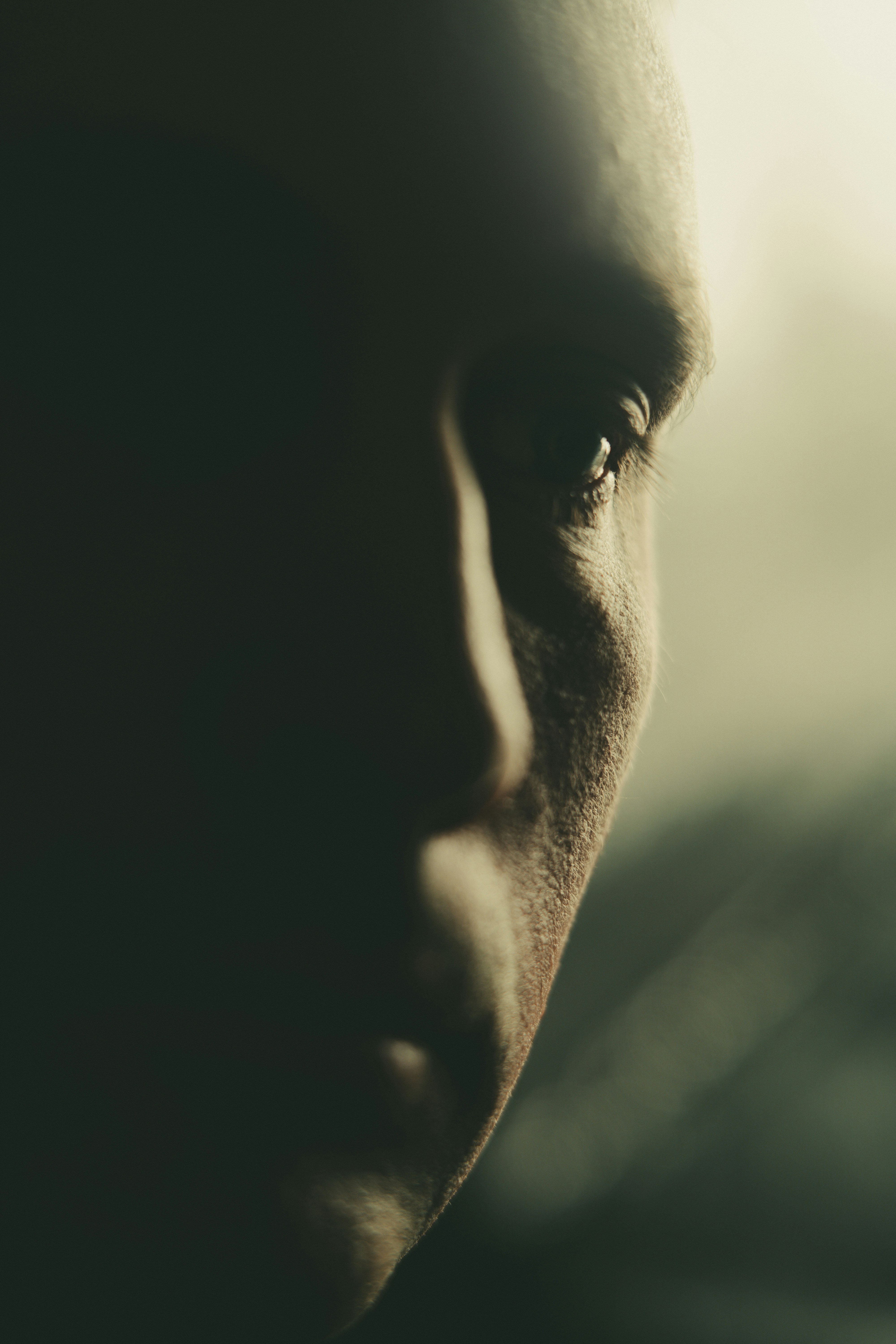 Photo by anamnesis33