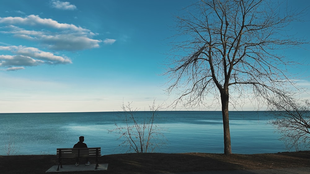 a person sitting on a bench looking out at the water
