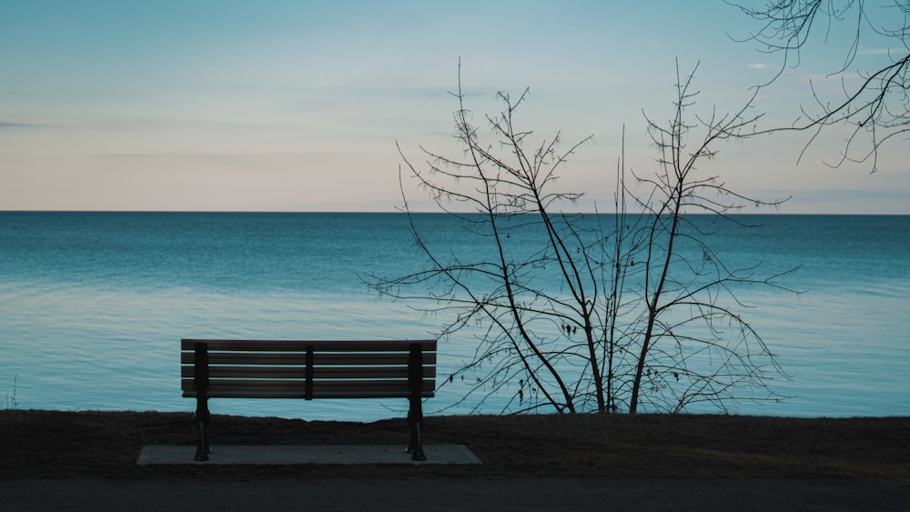 a bench sitting next to a body of water