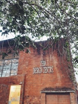 A brick building with a sign reading 'ZEBA DESIGN CENTRE'. Part of the building&rsquo;s facade includes large windows and a smaller section with a lit interior visible through a glass panel. Above the building, tree branches with green leaves extend across the upper part of the image.