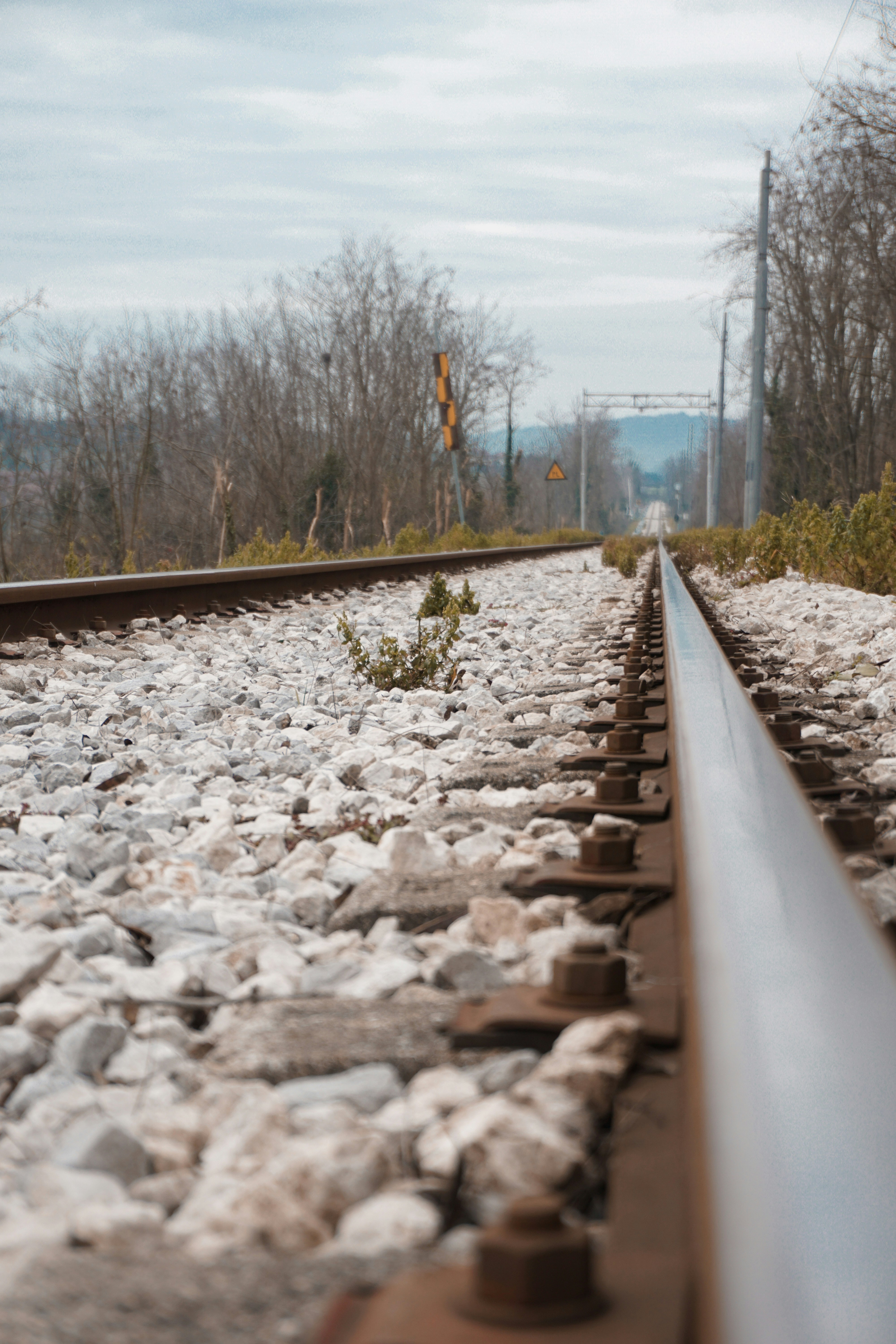 Photo by hardialsingh