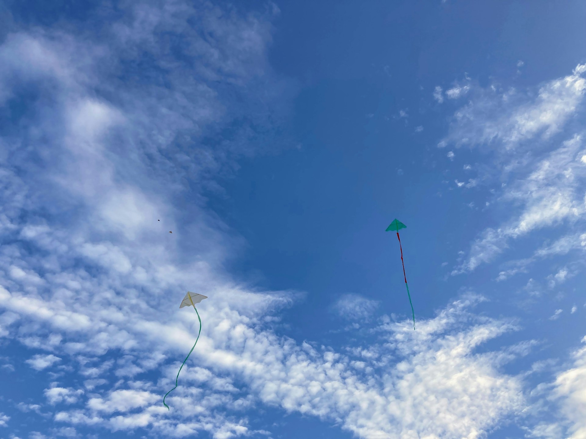 a couple of kites that are flying in the sky