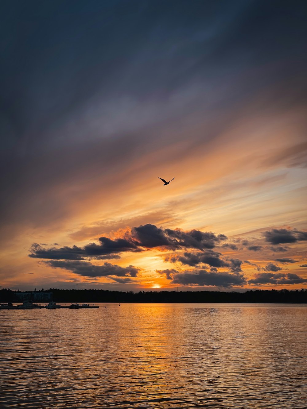 a bird flying over a body of water at sunset