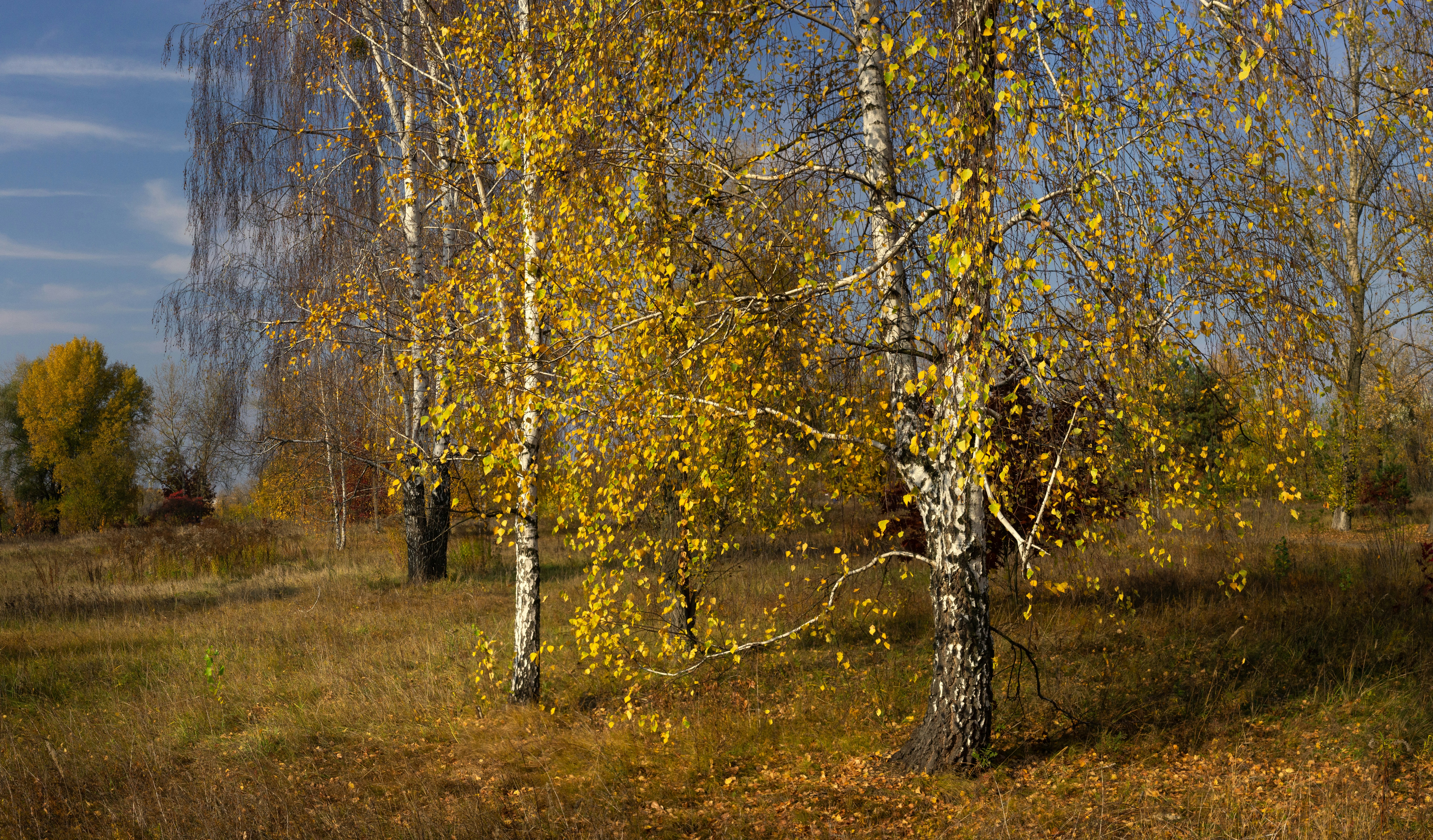 Photo by sevencolors