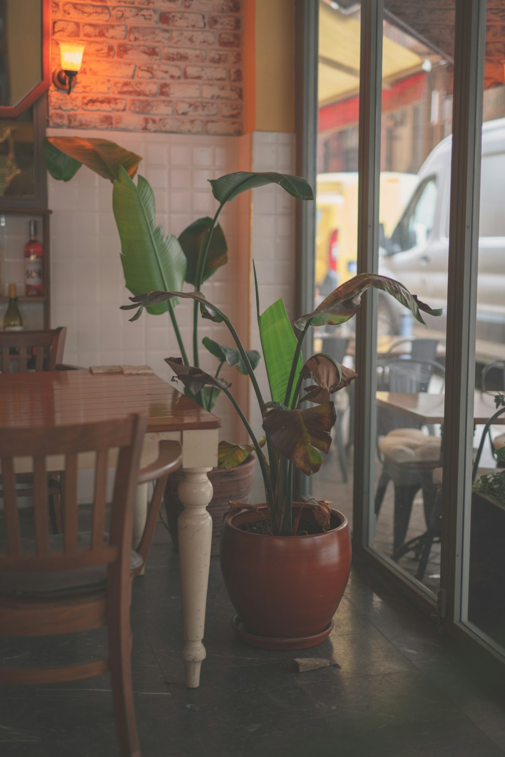 a potted plant sitting on a table in front of a window