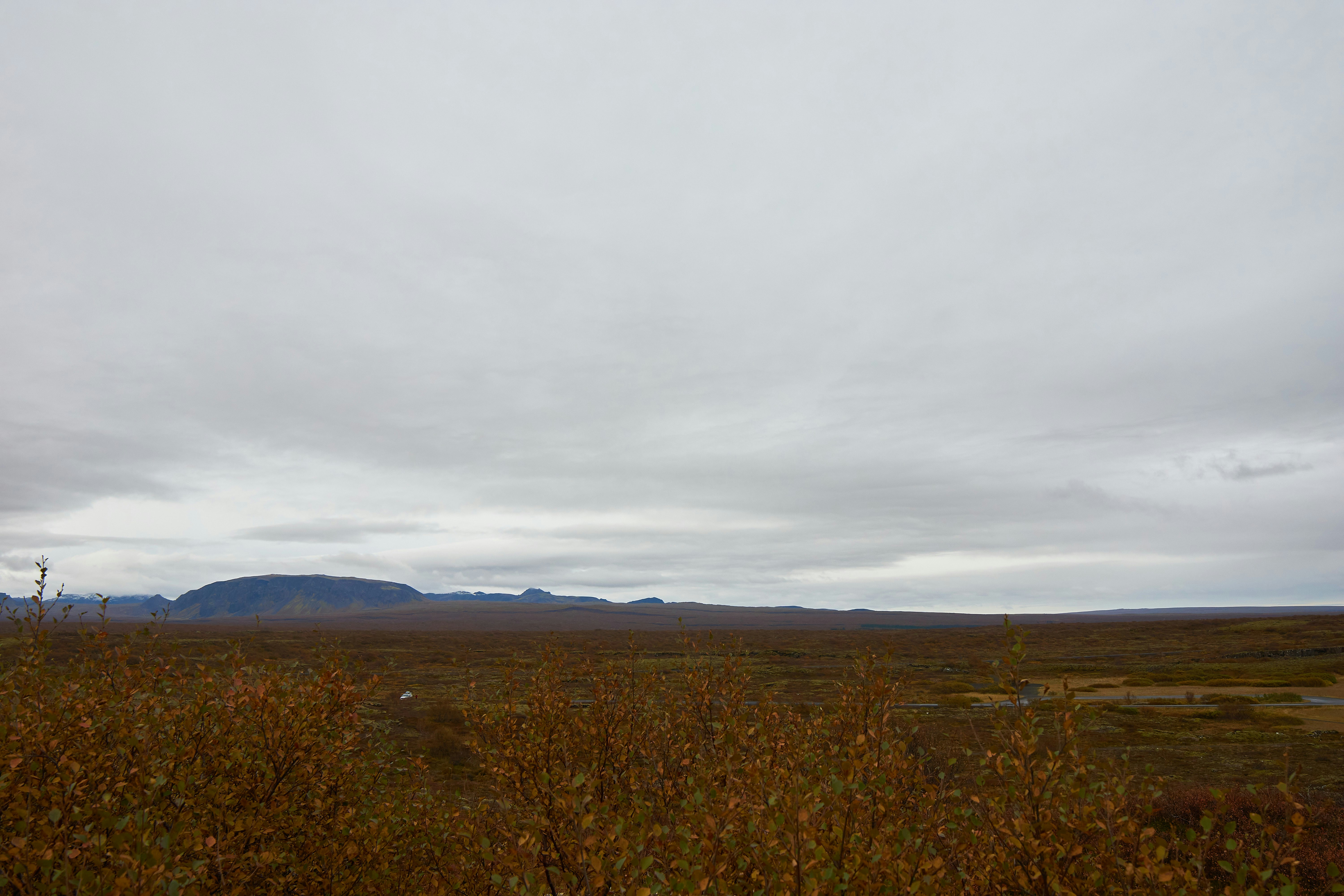 Photo by wolfgang_hasselmann