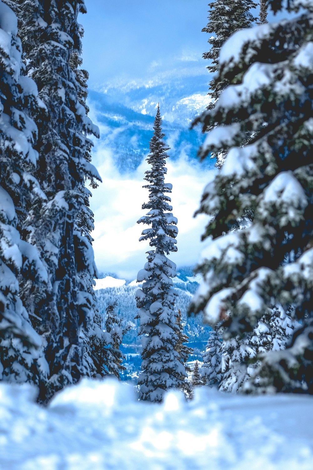 Uno snowboarder sta scendendo da una collina innevata