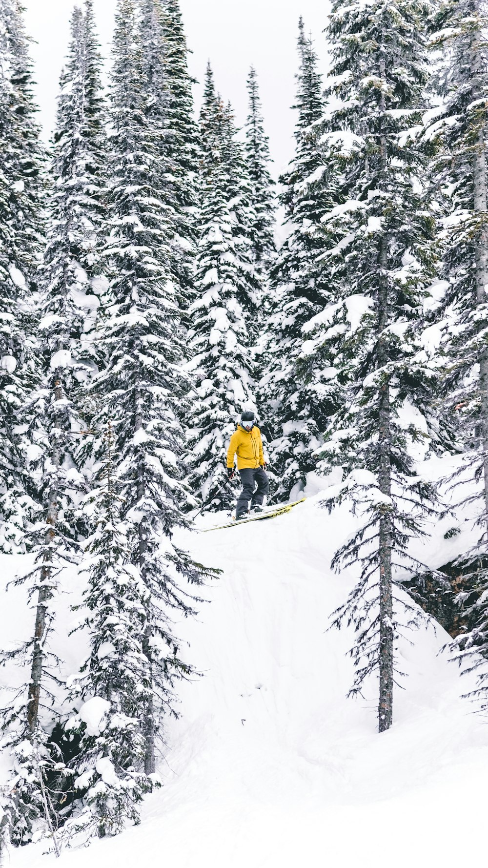 a person on a snowboard jumping over a snowy hill