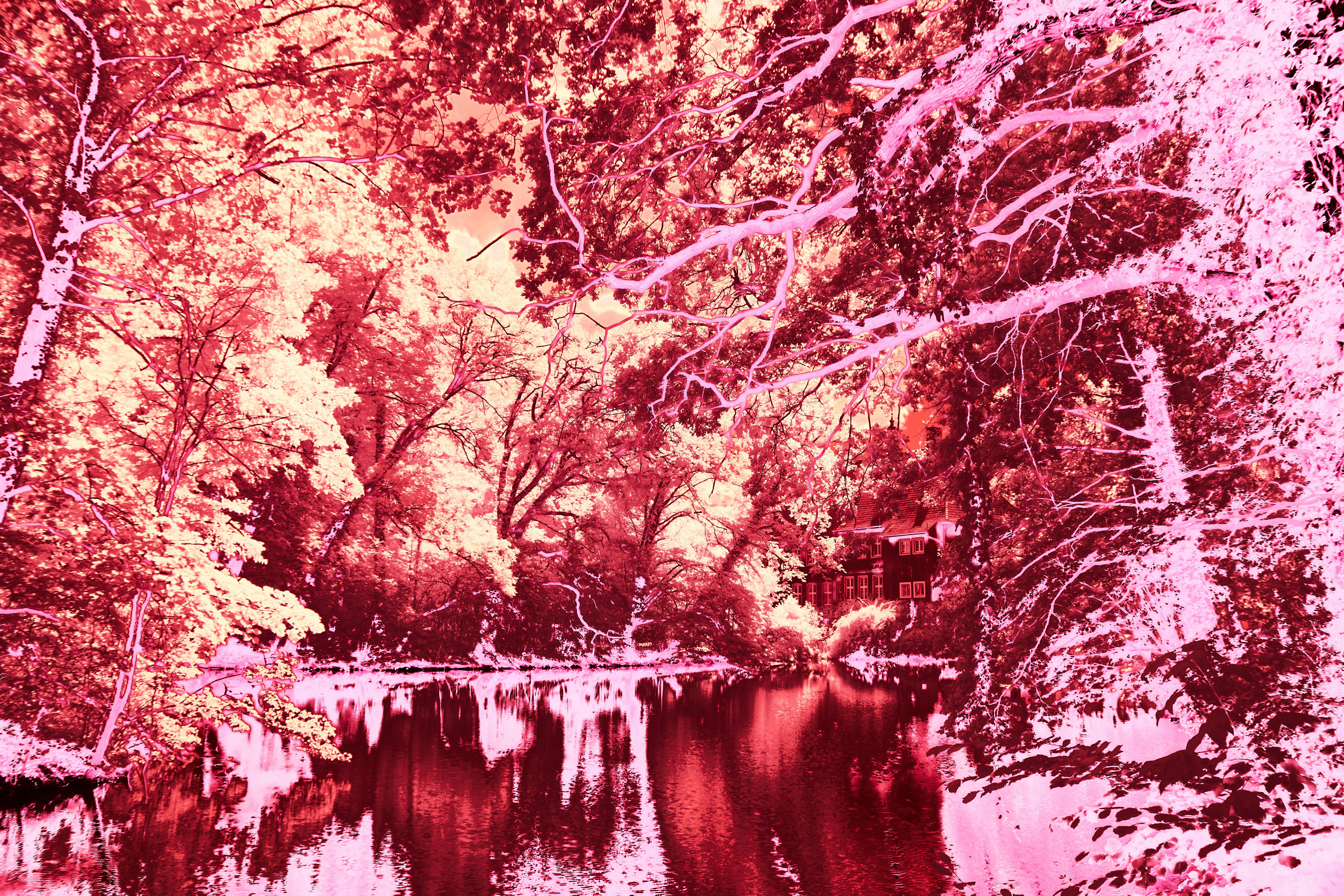 Photo by wolfgang_hasselmann