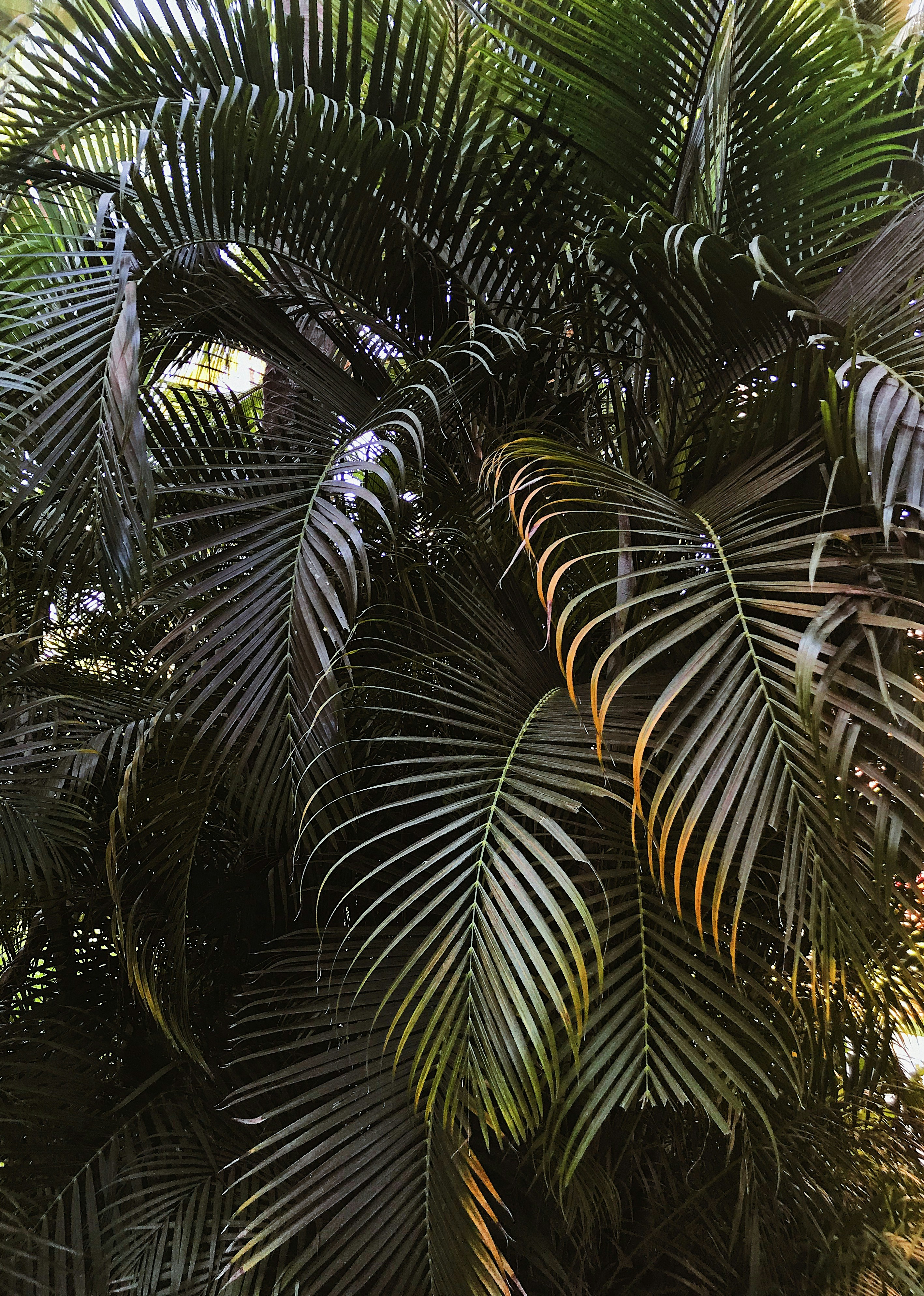 Photo by emmaenglund