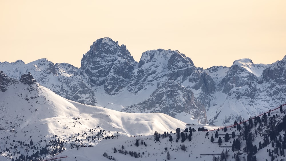 a mountain range covered in snow and trees