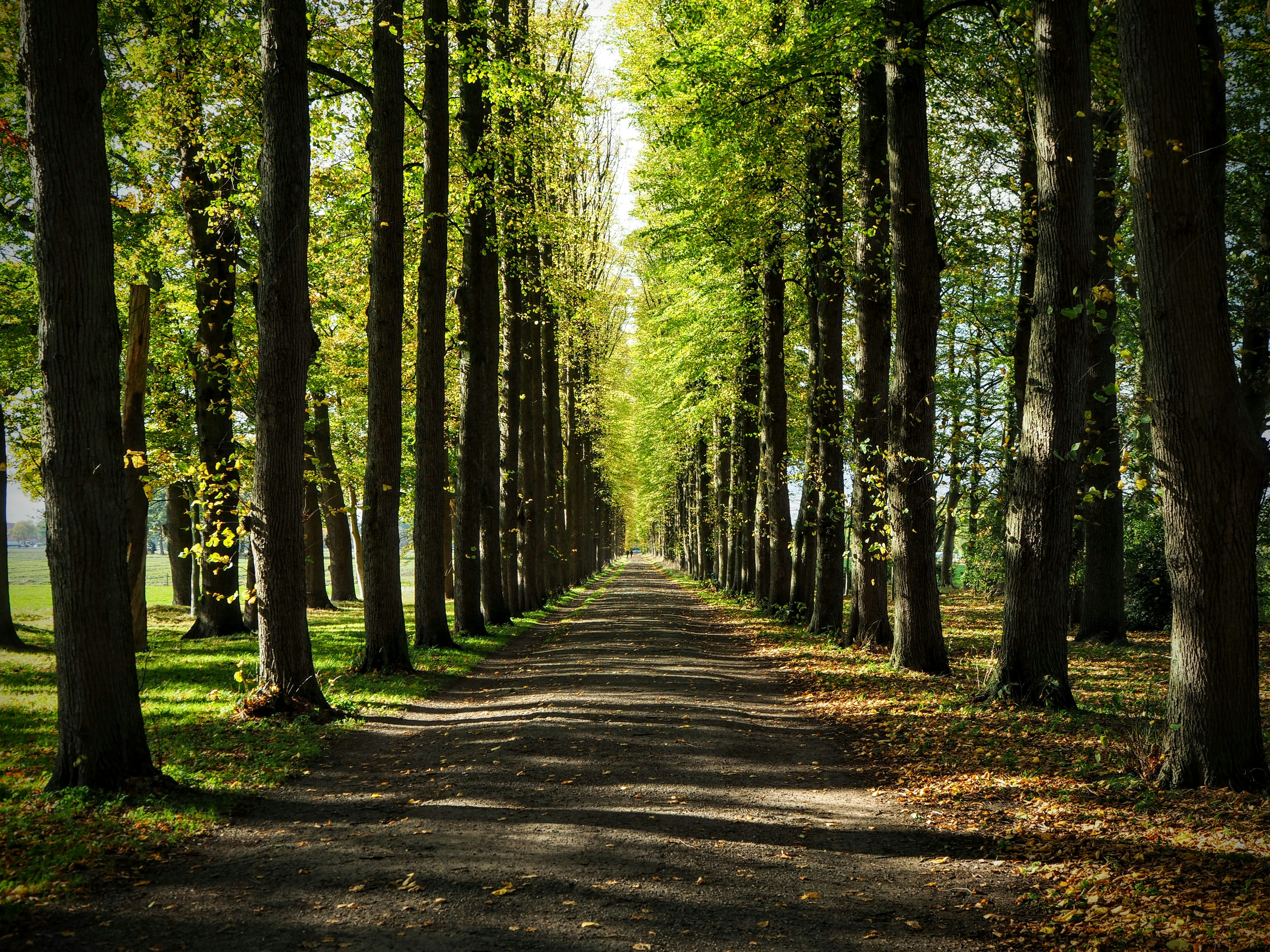 Photo by benji_da_vinci