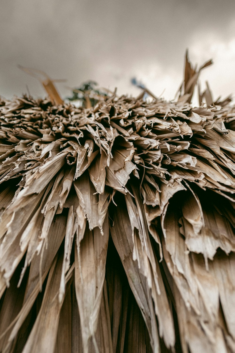 a close up of a wooden structure with a cloudy sky in the background