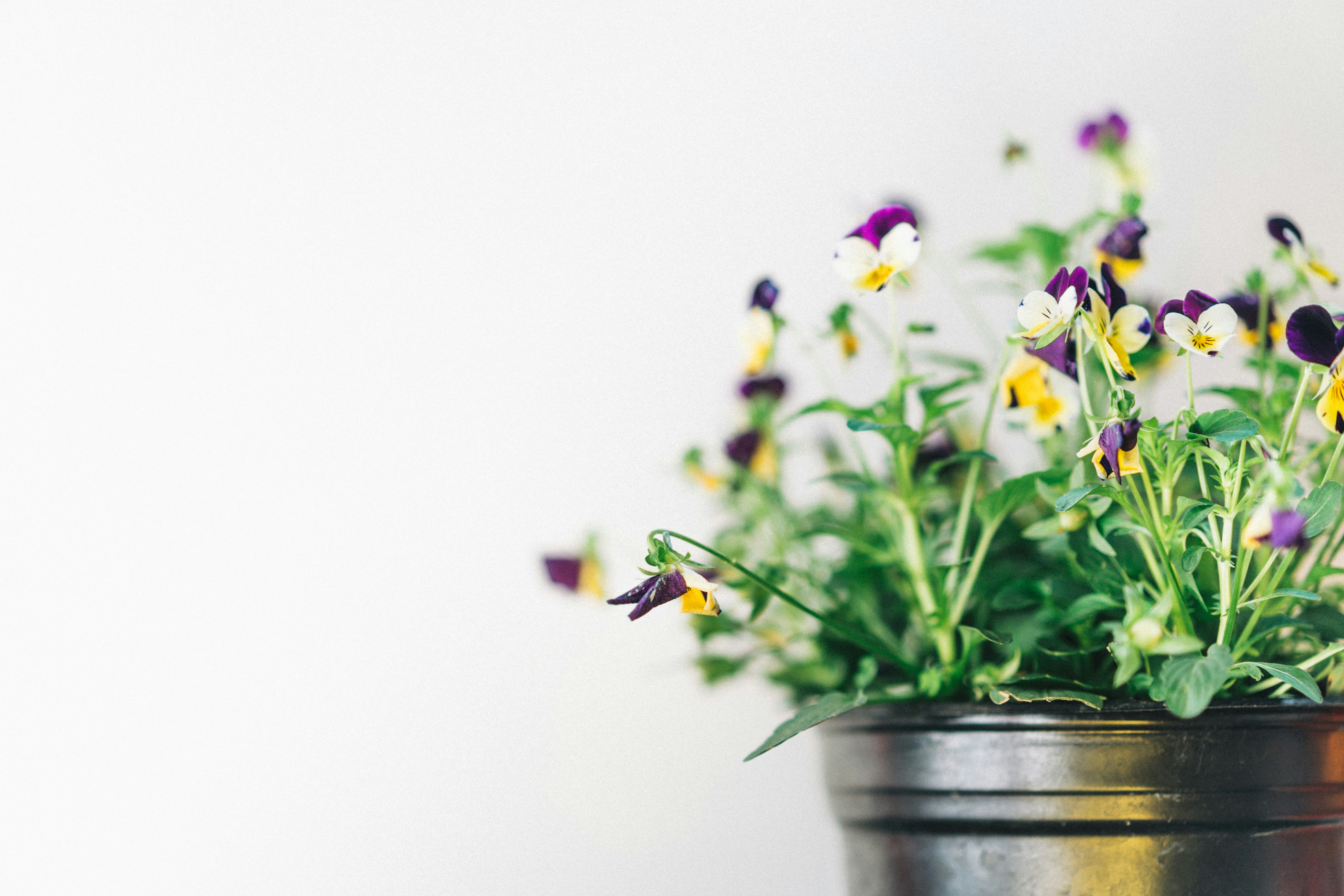 Photo by arturoeg_foto