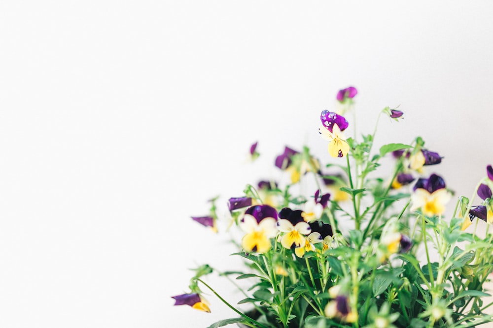 a vase filled with purple and yellow flowers