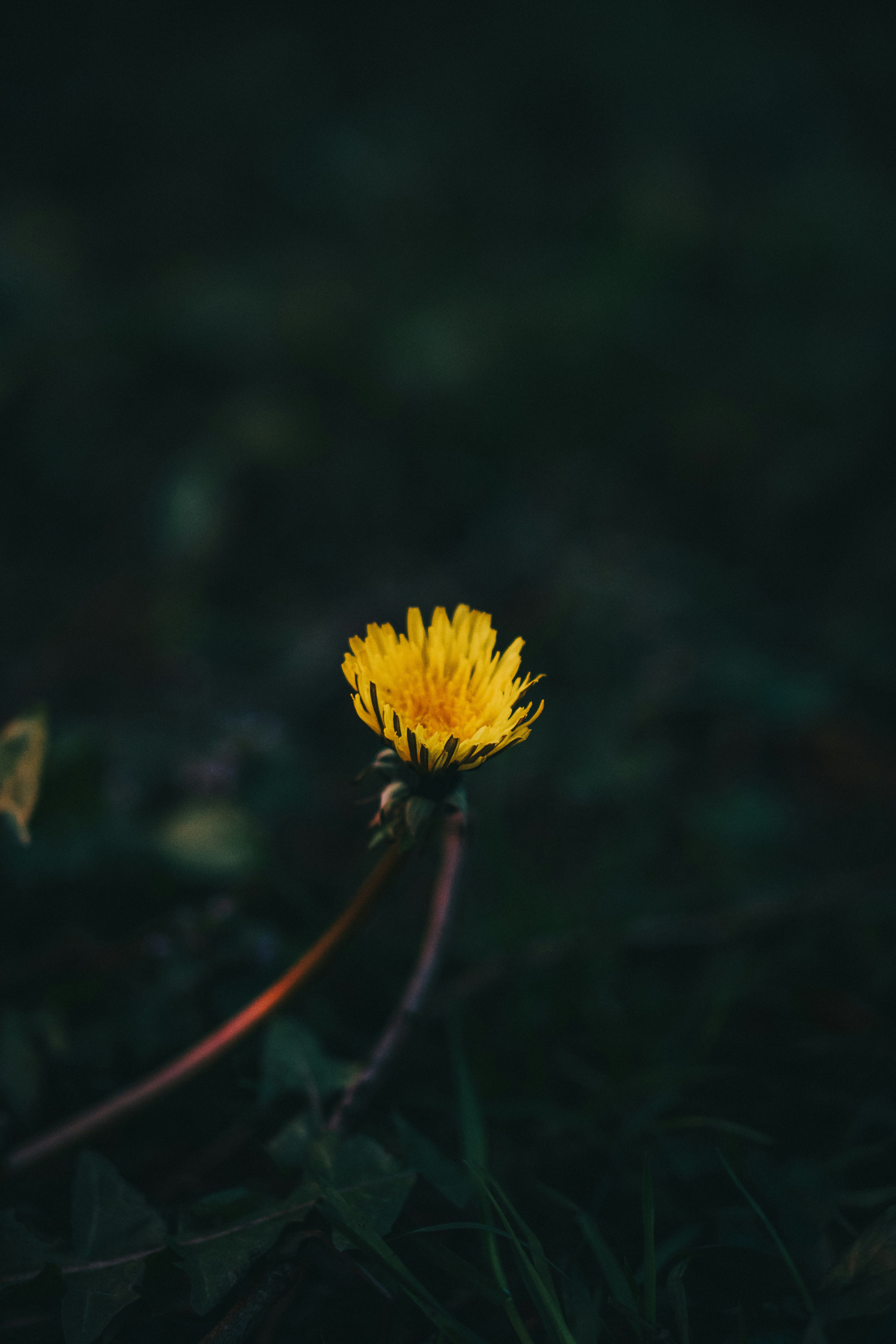 Photo by kingsley0709