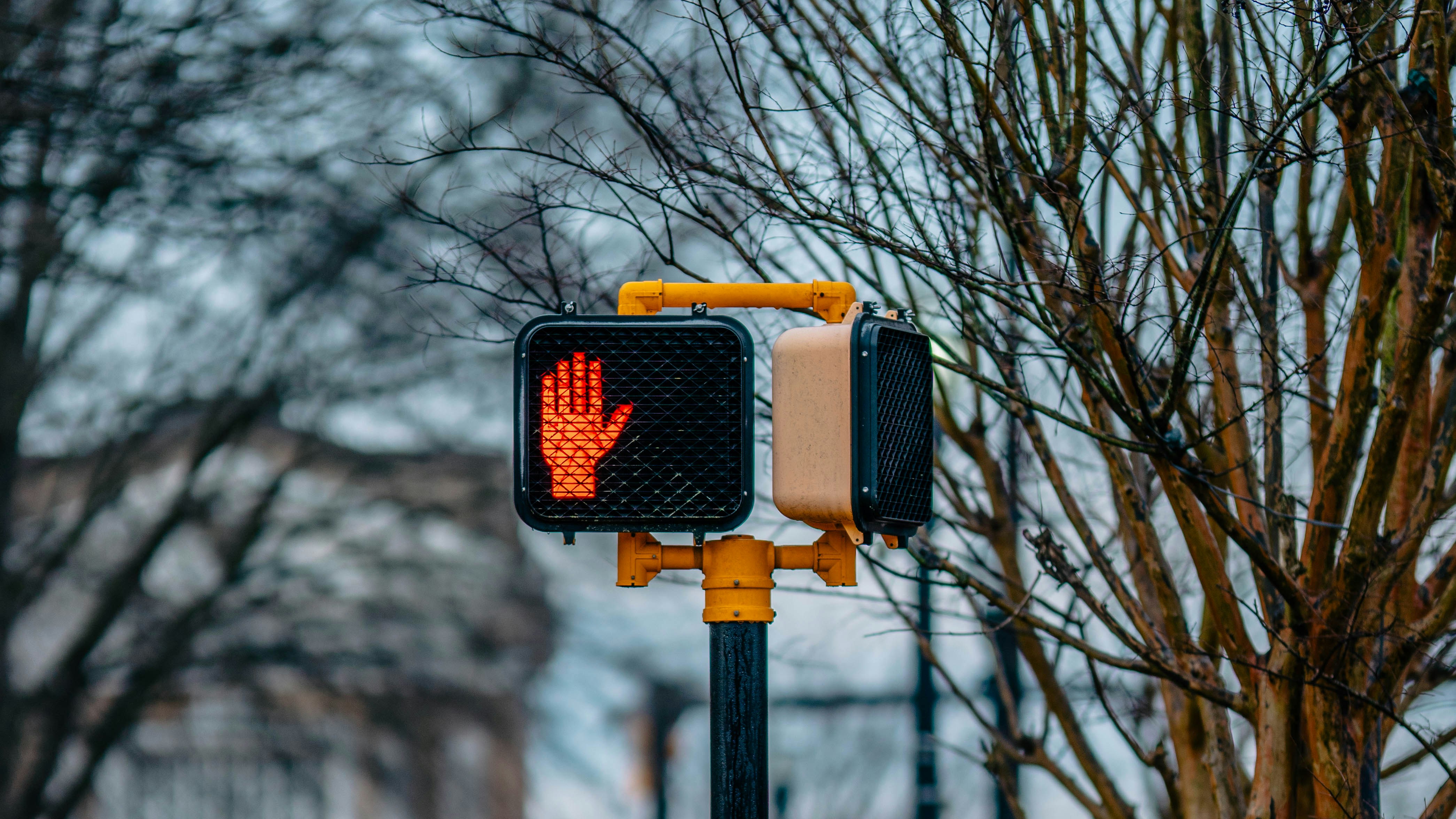 Photo by colemangloverphotography