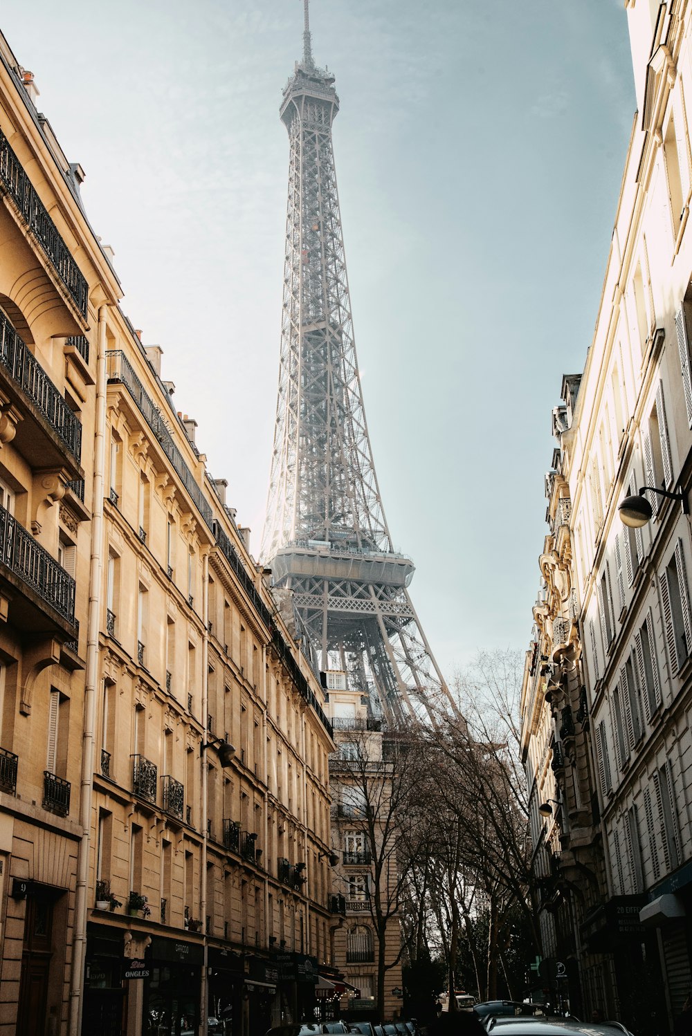 the eiffel tower towering over the city of paris