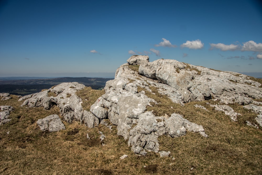 a rocky outcropping with grass and rocks