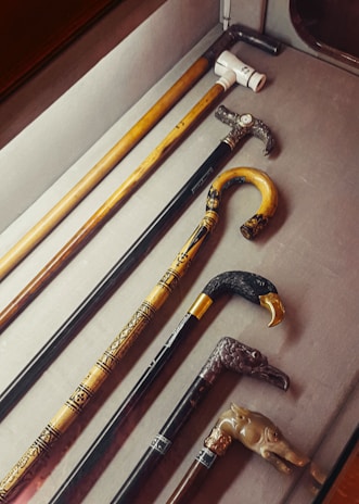 A group of people discussing the features of a modular cane.