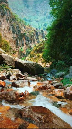 A serene Himalayan mountain stream flowing beside herbal leaves symbolizing natural sexual wellness
