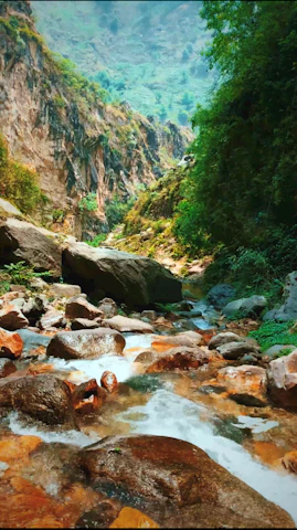 A serene mountain stream flowing, symbolizing purity and natural wellness.