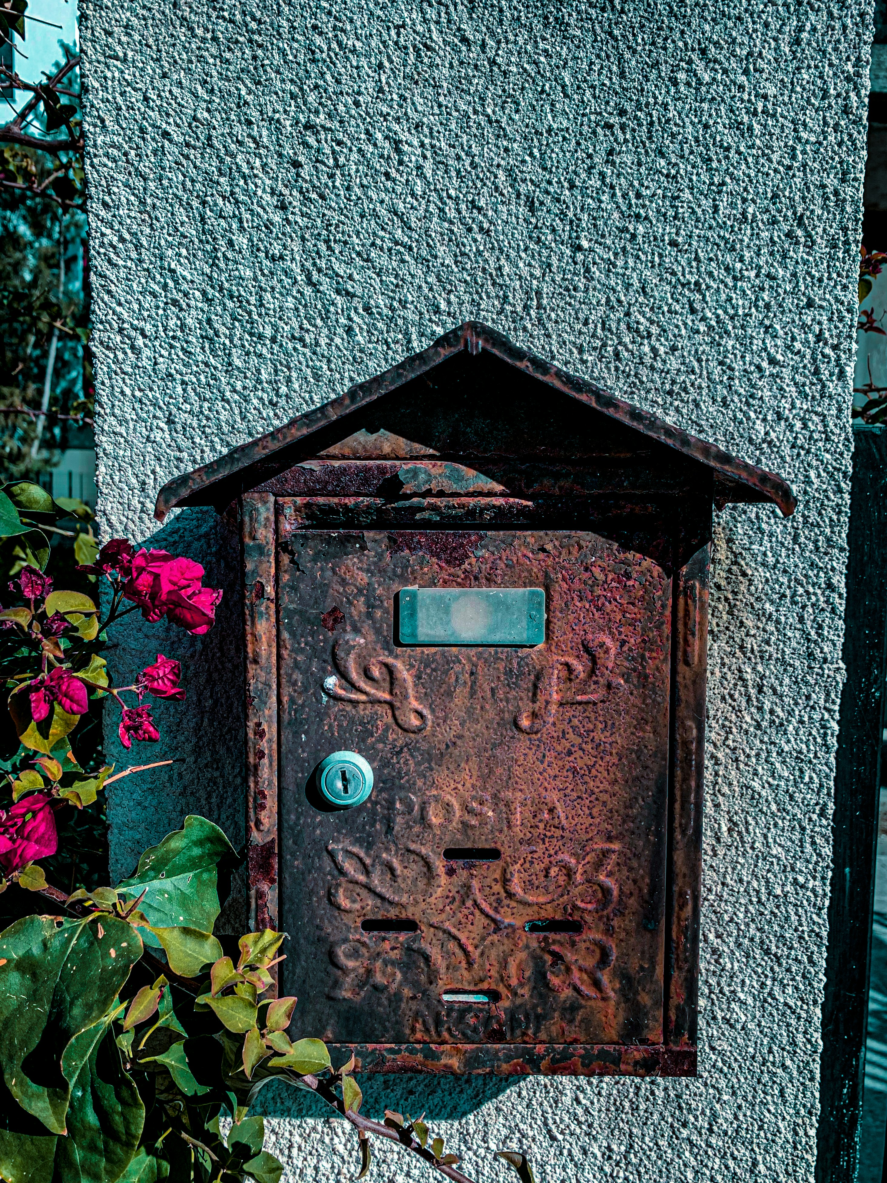 Photo by david_dintsh