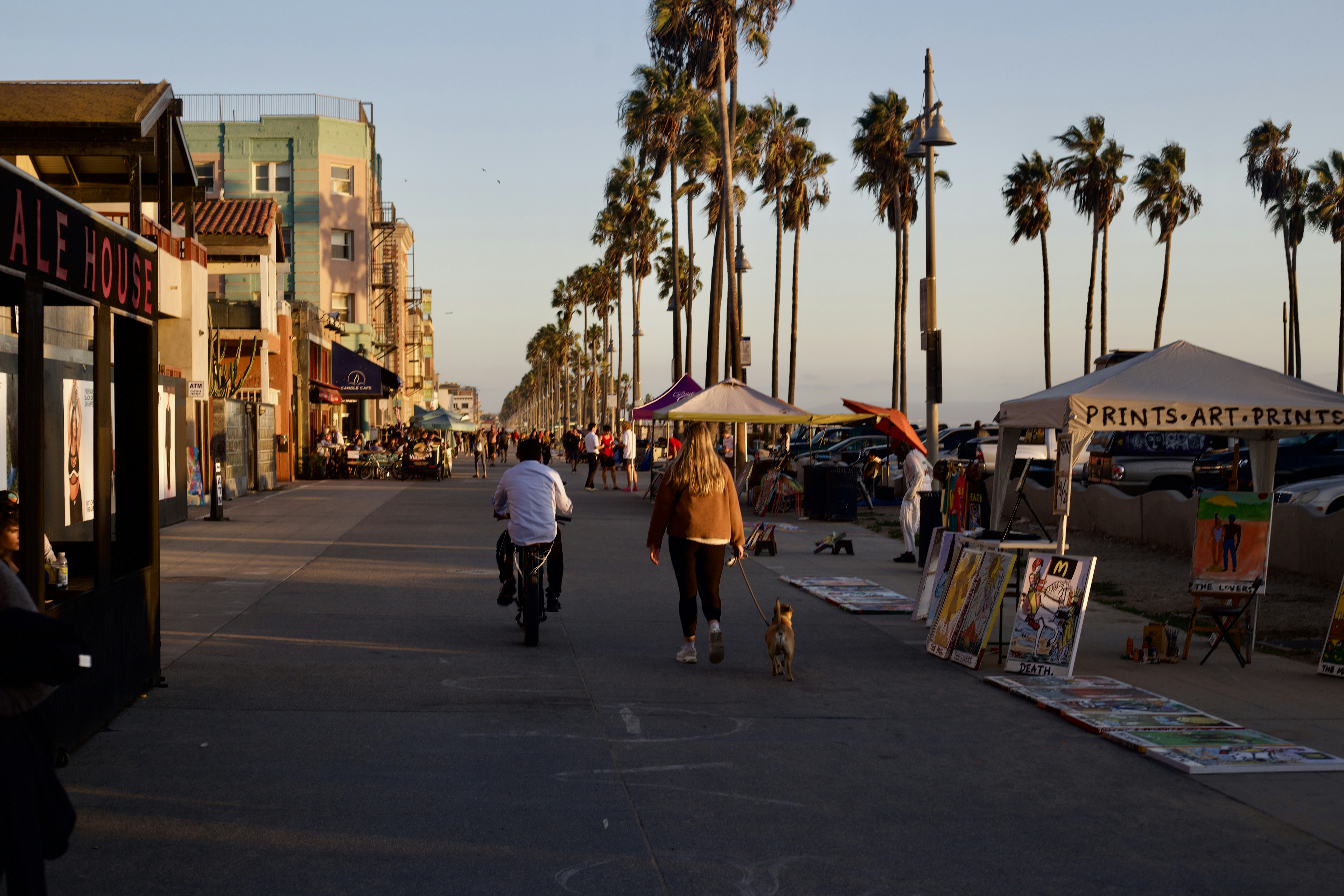 Why Venice Real Estate Is So Popular — and What’s Happening in the Market