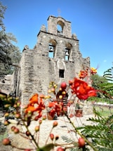 a stone building with a bell tower and flowers in the foreground
