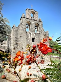 a stone building with a bell tower and flowers in the foreground
