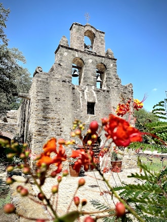 a stone building with a bell tower and flowers in the foreground