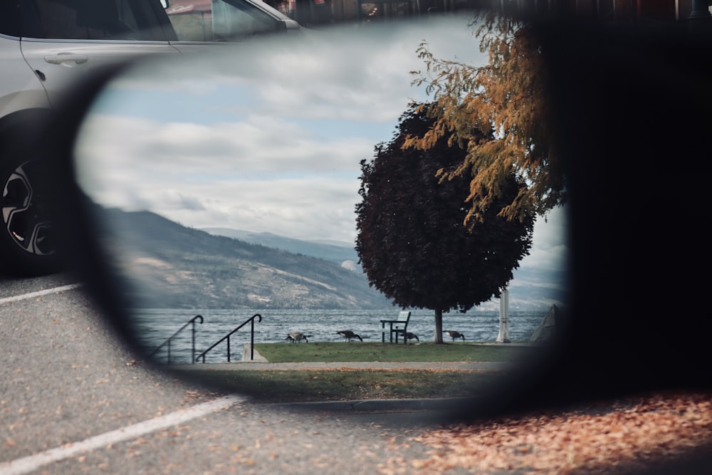 a rear view mirror reflecting a tree and a lake