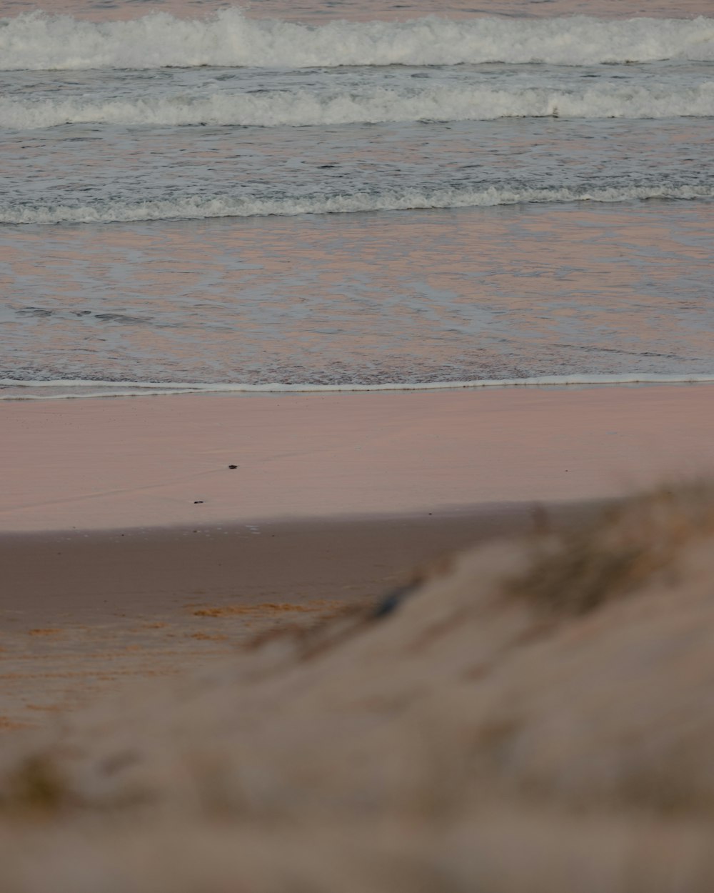 Una persona caminando por la playa con una tabla de surf