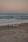 Group of friends laughing on the beach with surfboards in hand.