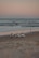 A group of four surfers carrying surfboards walks along a beach during sunset. The sky is painted with soft pastel colors, and the ocean waves gently lap against the shore. A solitary person can be seen in the distance near the water.