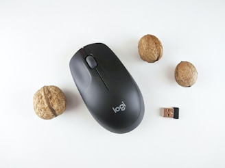 A black wireless computer mouse is positioned alongside three walnuts and a small USB dongle on a clean, white background. The mouse has a sleek design with a scroll wheel and the brand logo is visible. The walnuts are arranged around the mouse, adding a natural element to the composition.
