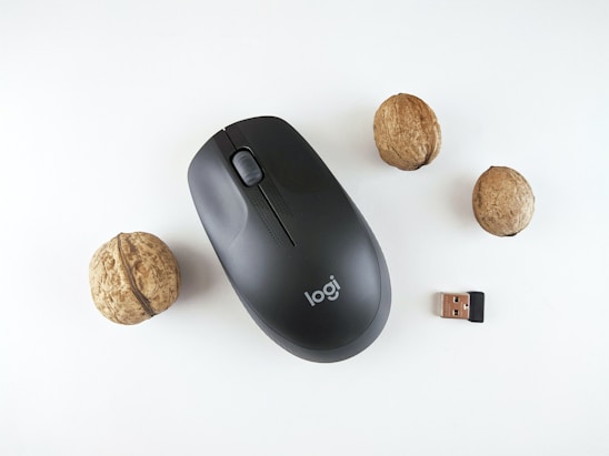 A black wireless computer mouse is positioned alongside three walnuts and a small USB dongle on a clean, white background. The mouse has a sleek design with a scroll wheel and the brand logo is visible. The walnuts are arranged around the mouse, adding a natural element to the composition.