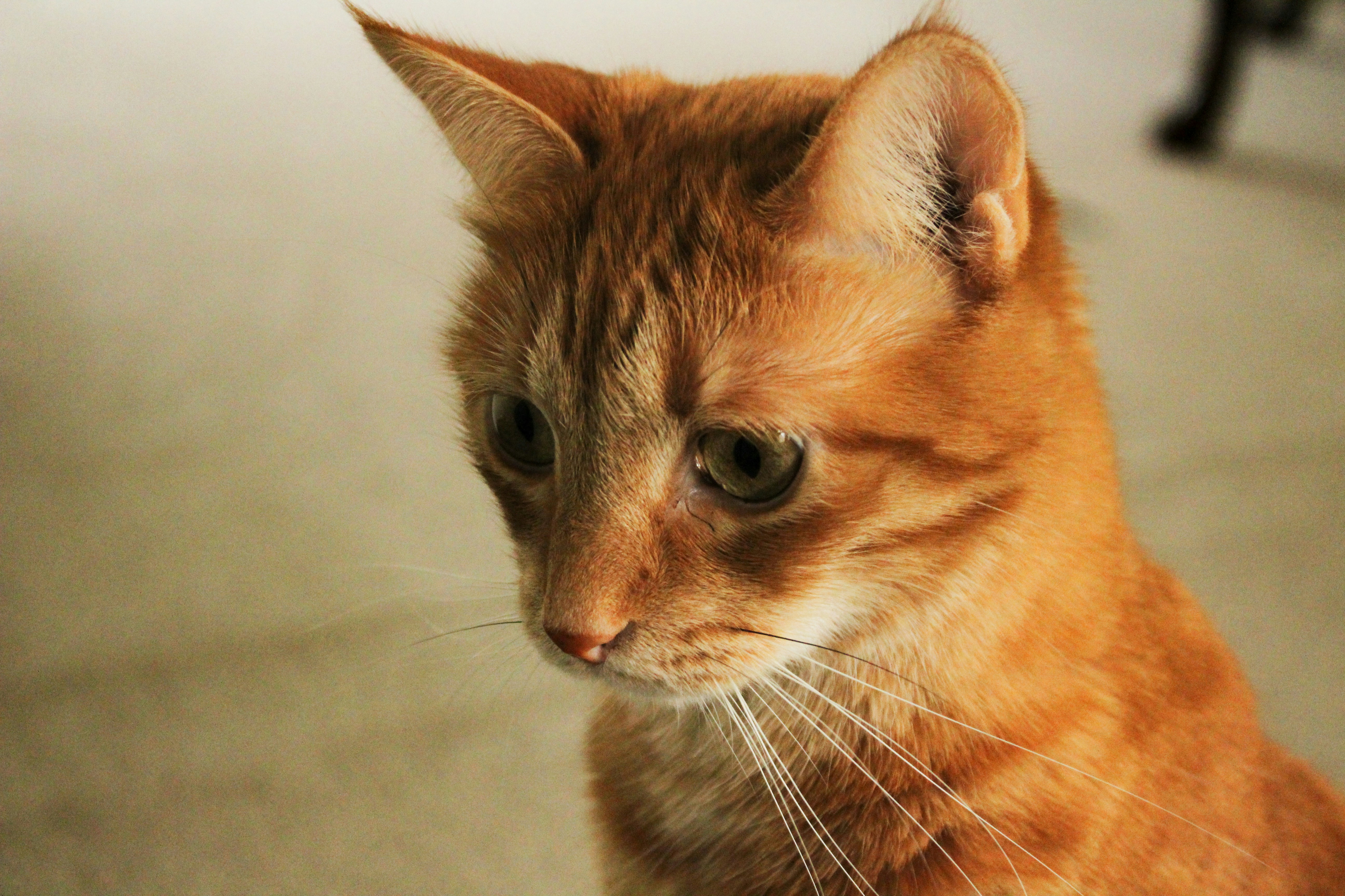 Photo by elijahaustin