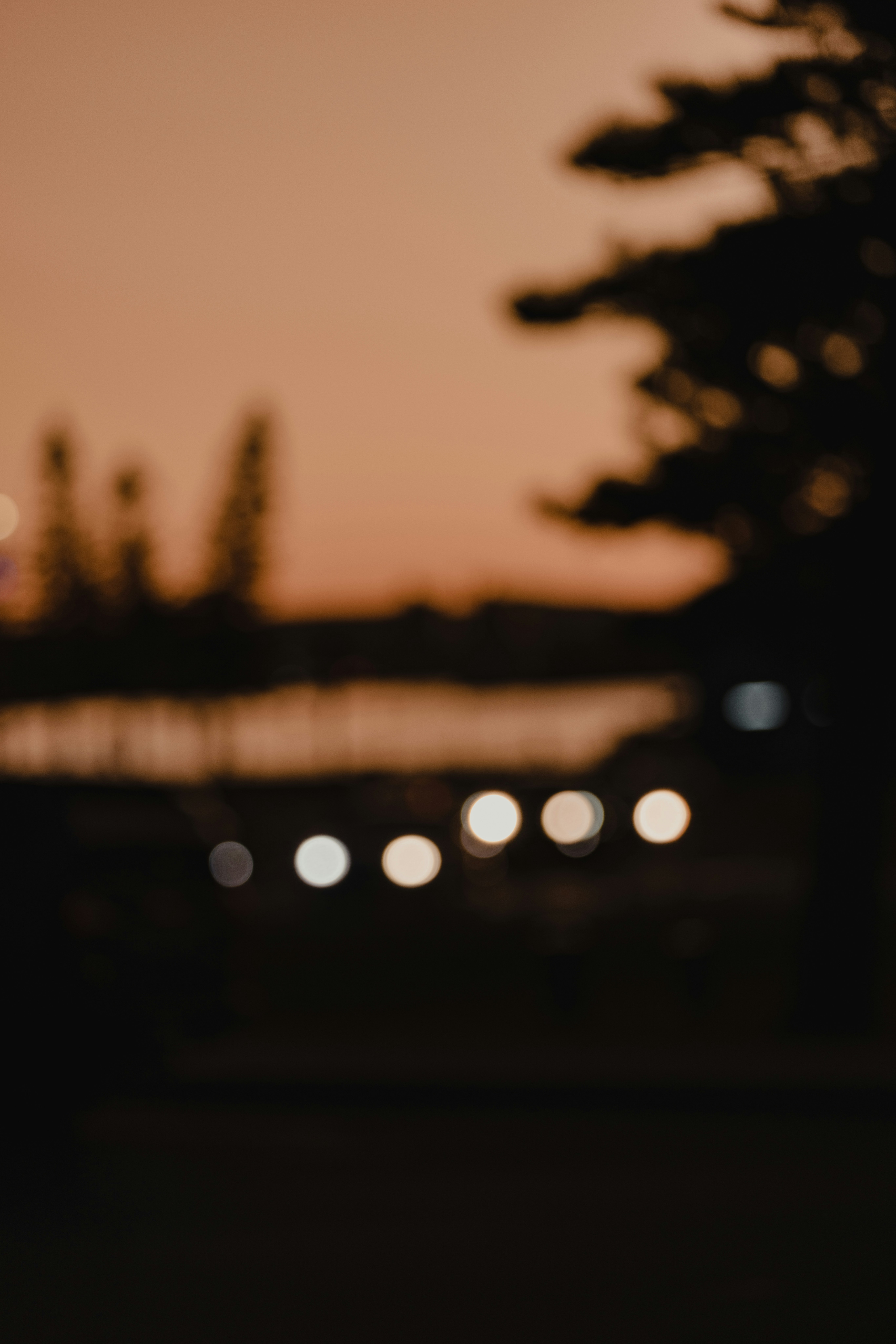 Photo by caleb_smithy